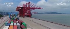 “以变应变”焕“新”成长 从“新”透视中国外